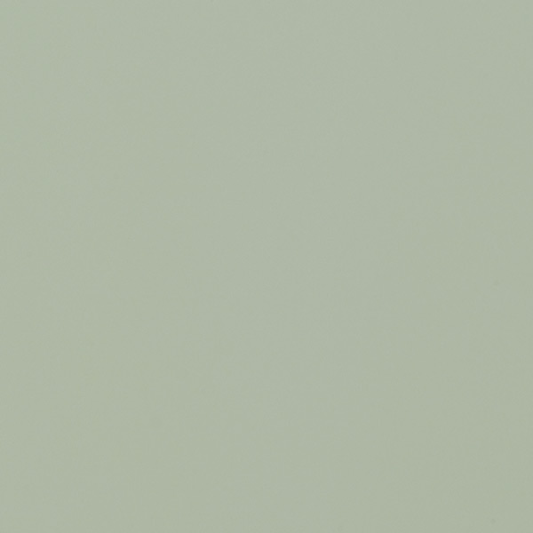 maple_coastal_plain