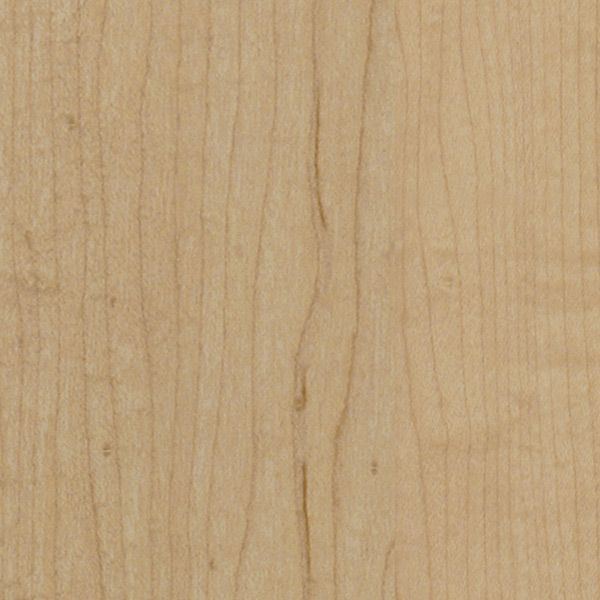 Maple-Coastline